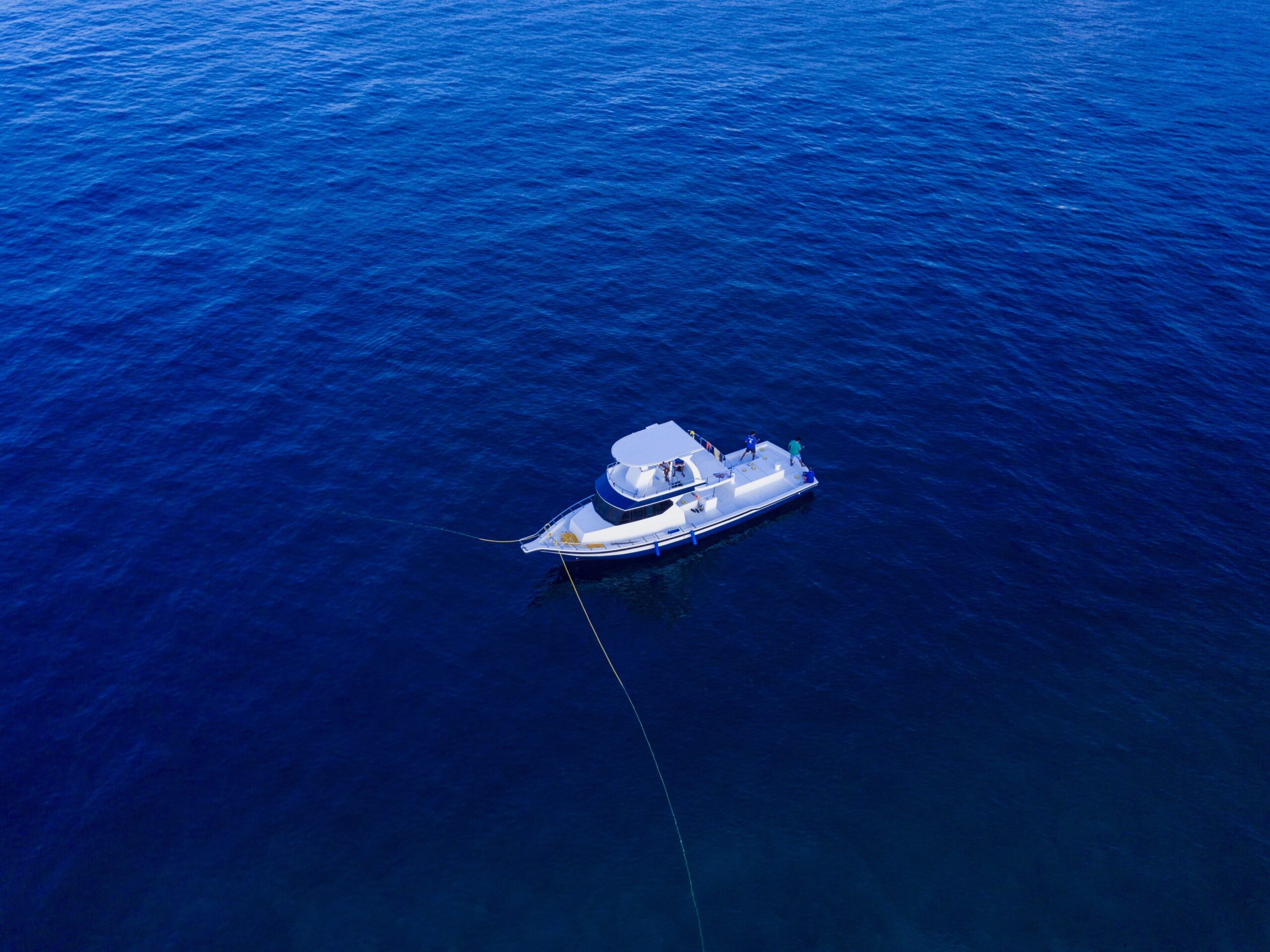 Transport and Logistics